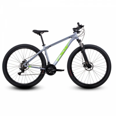 Bicicleta Alumínio Aro 29 TSW Ride Shimano Tourney 21 Velocidades, Quadro 19.0" Ano 2023 - Cinza com Verde